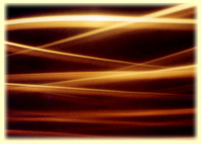 Photography by Dr. Alex Yu
