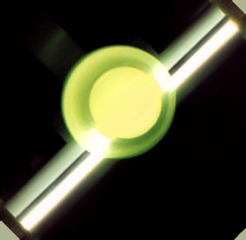 Photo taken by Dr. Alex Yu
