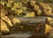 chandler_fall3